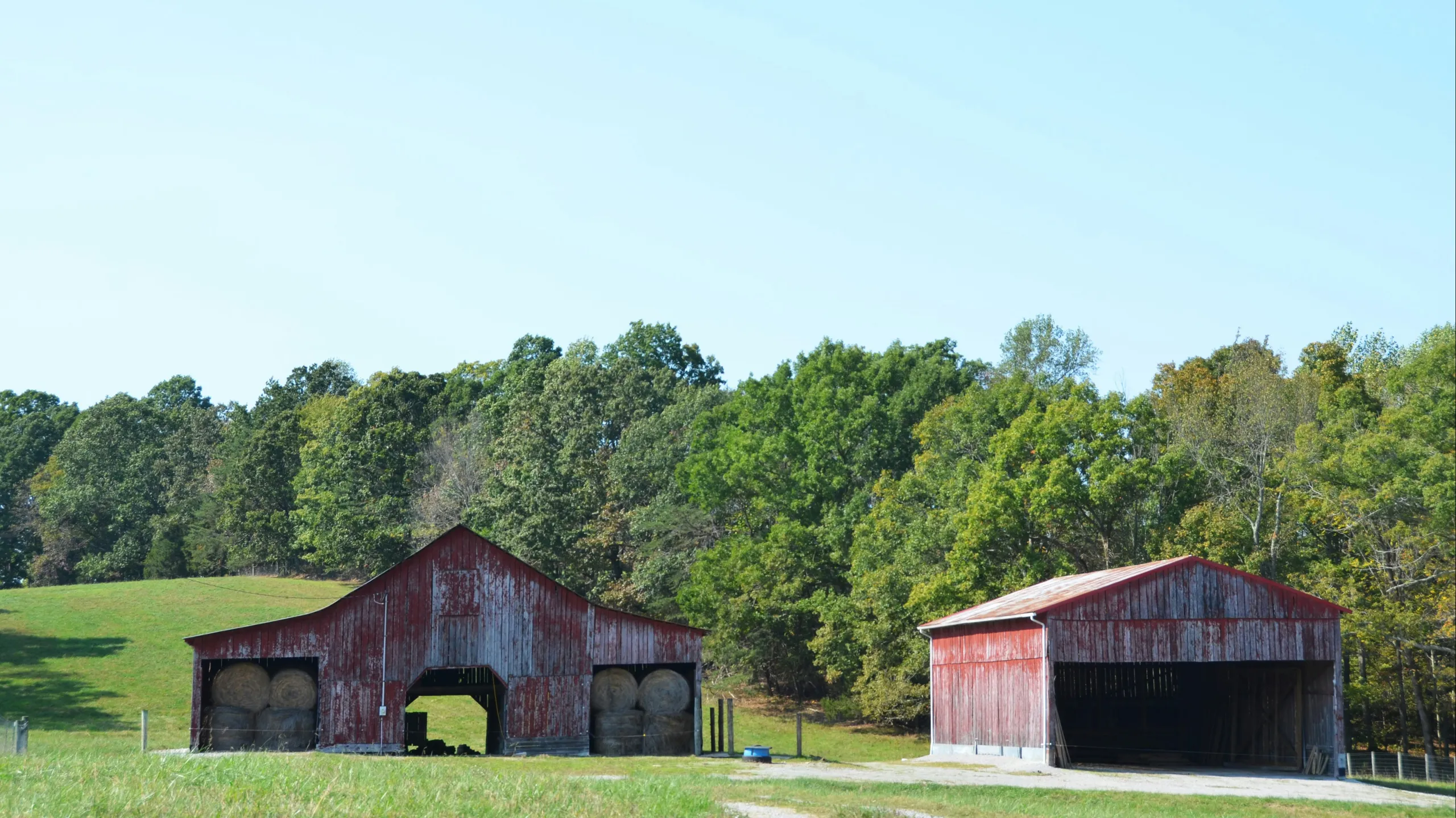 Life Time Coldwater Trail Run
