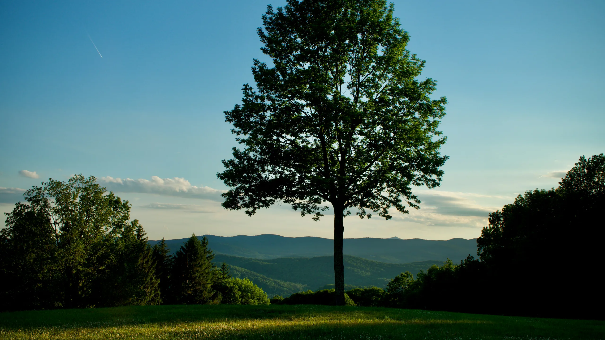 Covered Bridges Half Marathon 26