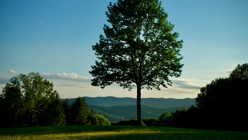 Covered Bridges Half Marathon 26