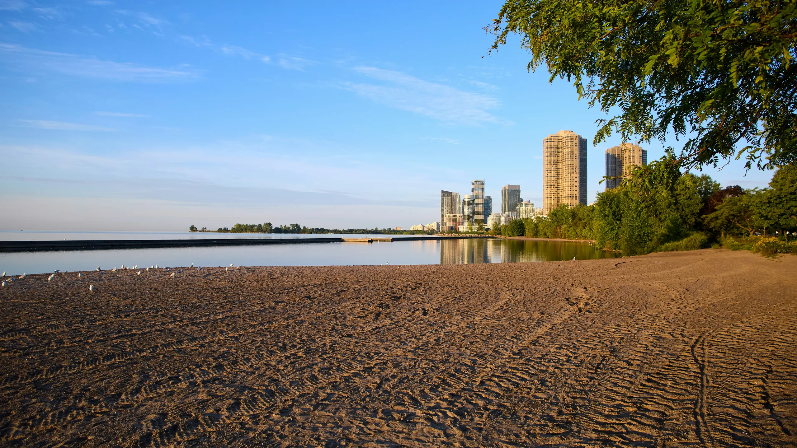 BlackToe Holiday 10K