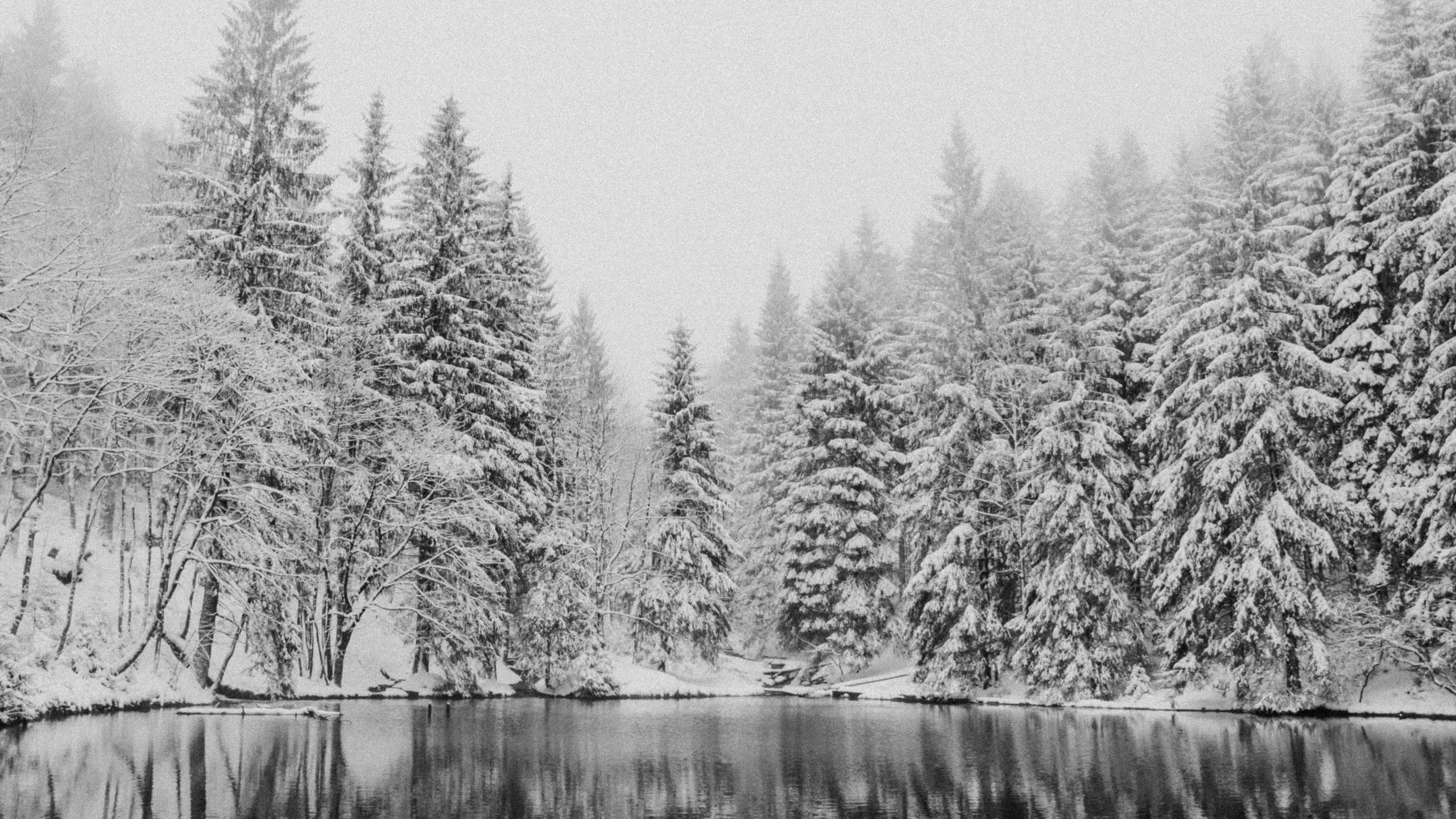 GutsMuths Rennsteiglauf
