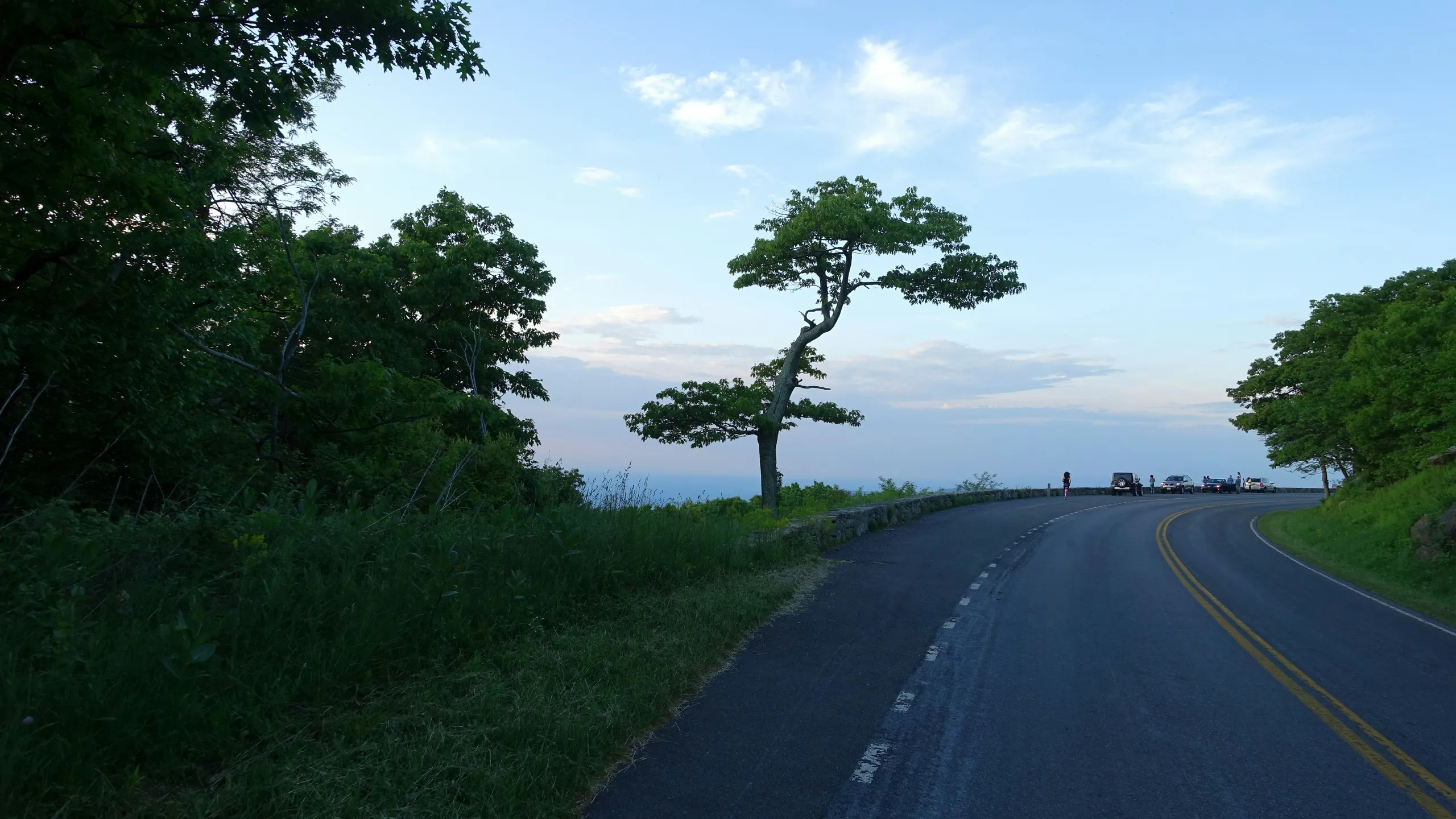 Ringing in Hope: Jingle Bell Rock & Run