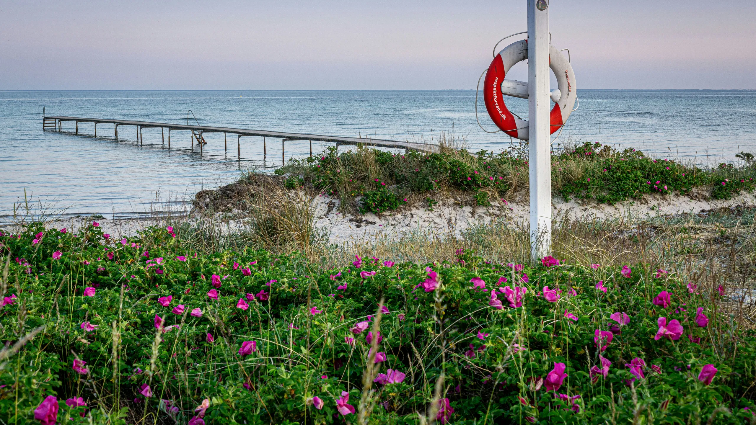 Spar Nord Sydkysten Løbet