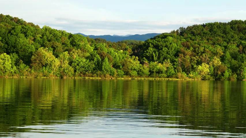 Cummins Falls Marathon