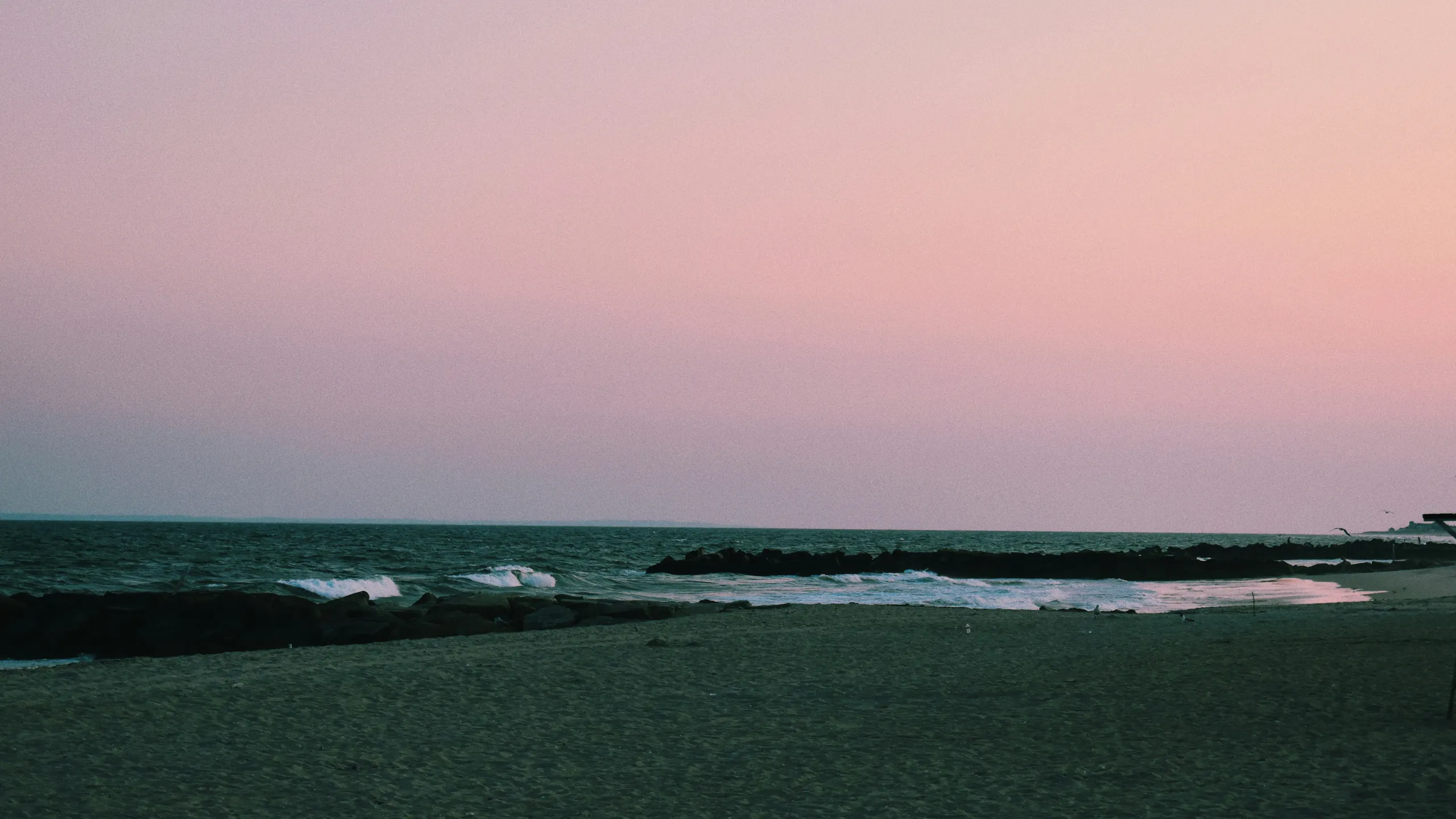 Run Rockaway Beach Half Marathon (Tune Up) and 5K
