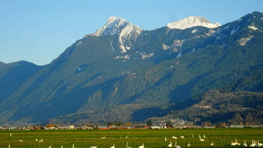 Loop the Vedder Trail Half Marathon & 10K