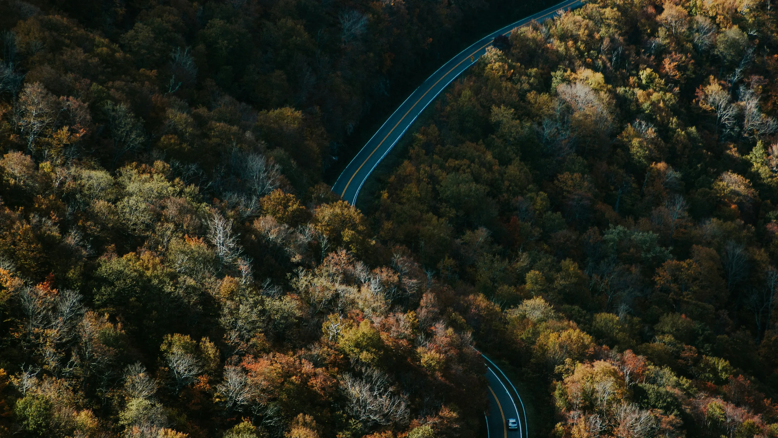 Umstead Trail Marathon