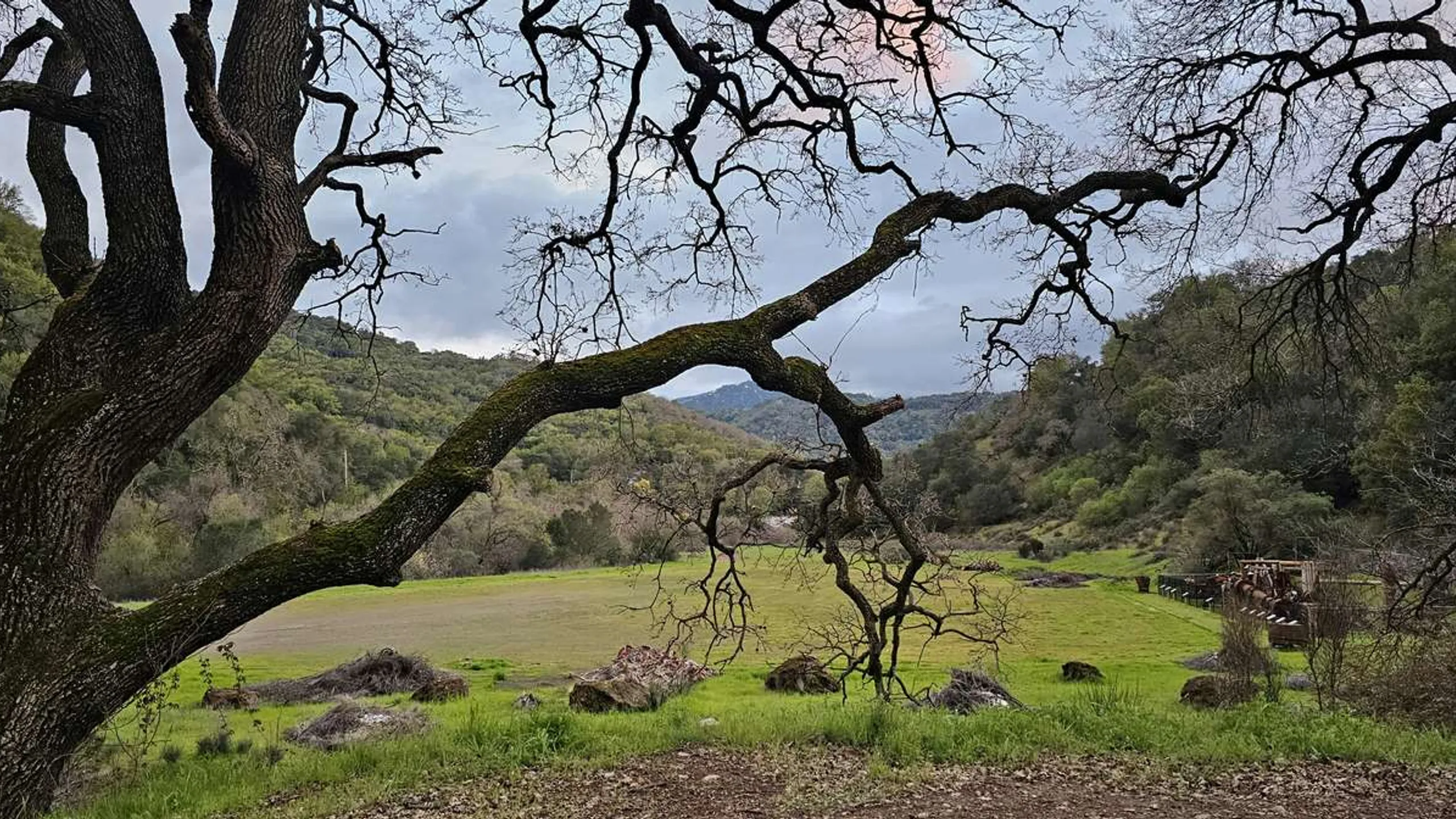 Almaden Hills Trail Run (Summer)