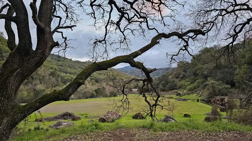 Almaden Hills Trail Run (Summer)