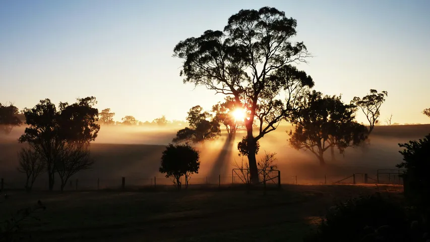 Parklands Running Festival