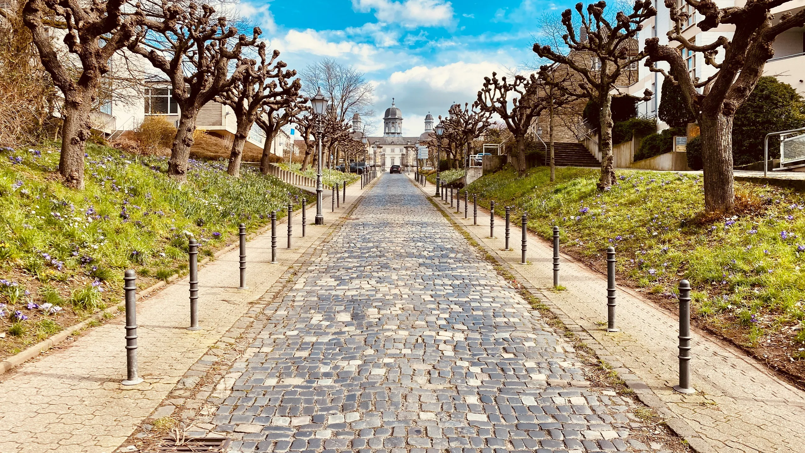 Königsforst Marathon