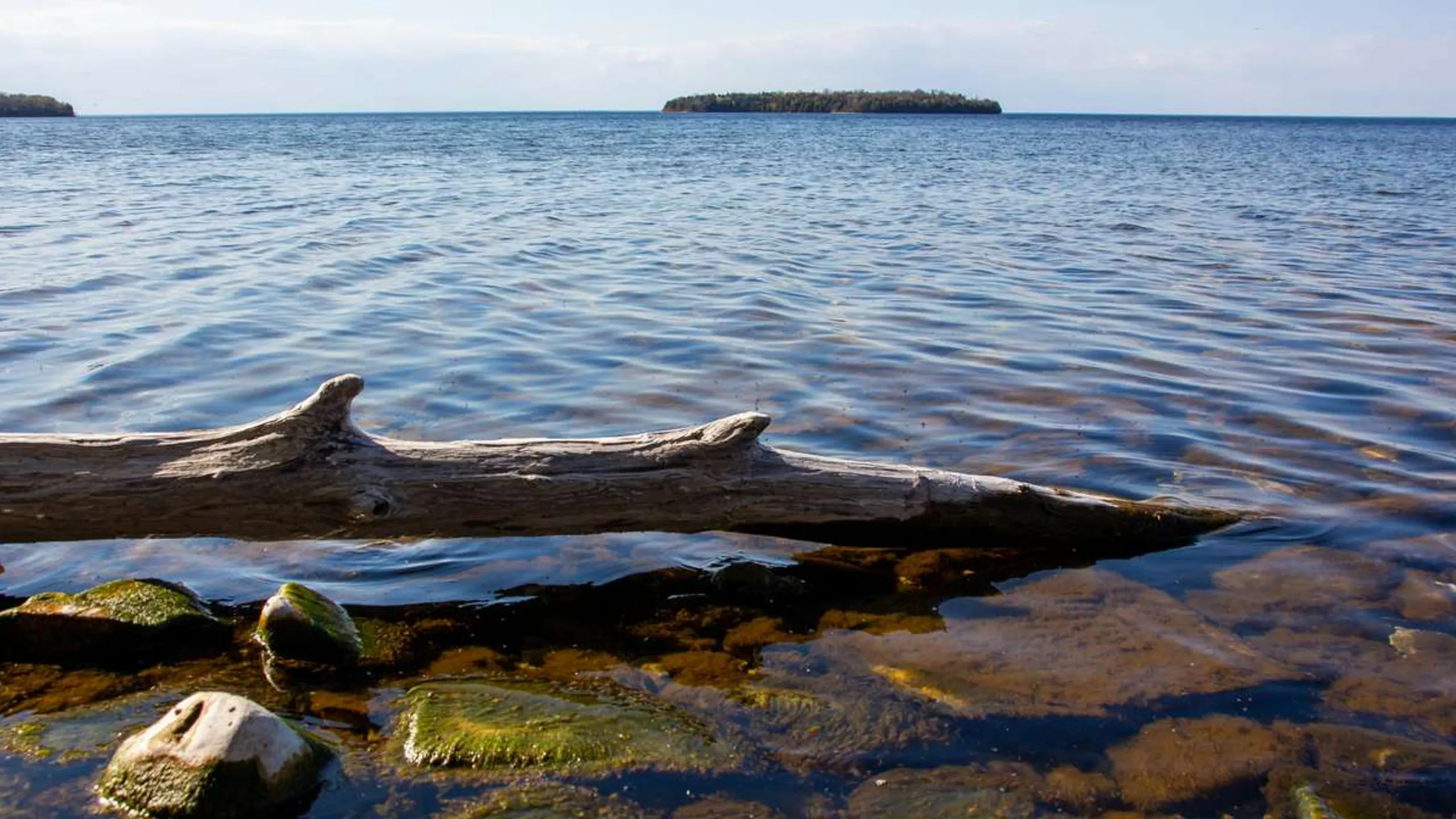Door County Half Marathon & Nicolet Bay 5K