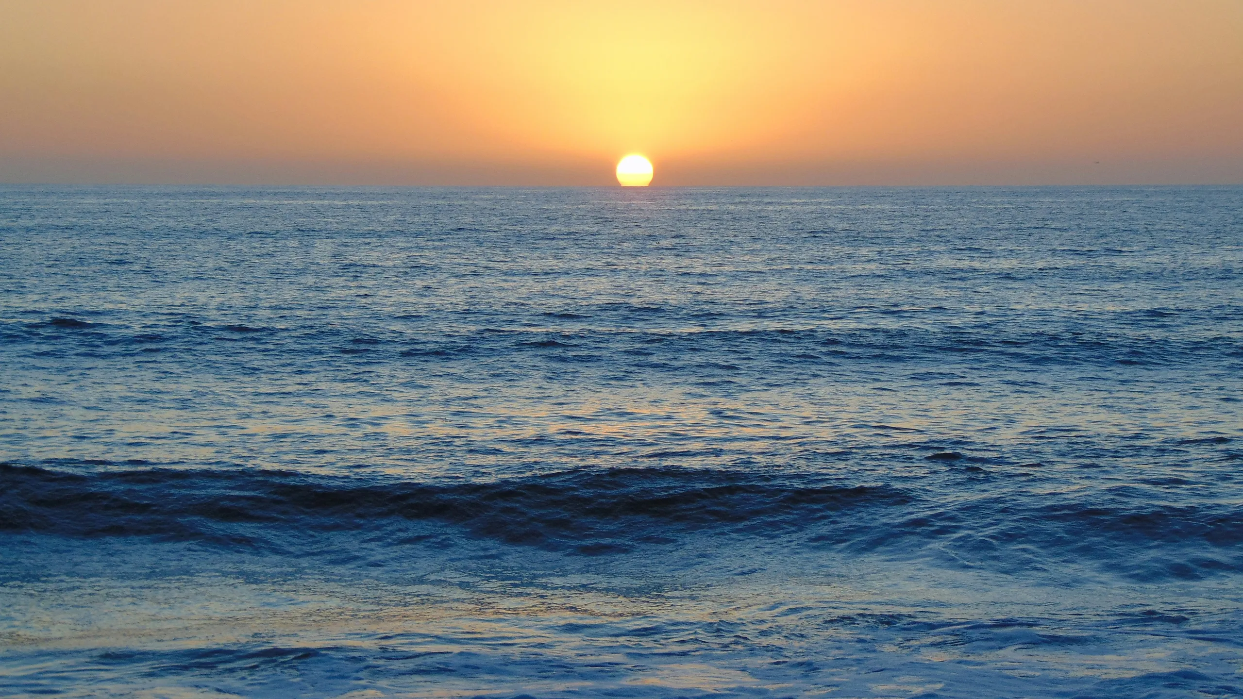 Carlsbad Marathon, Half Marathon & 5K