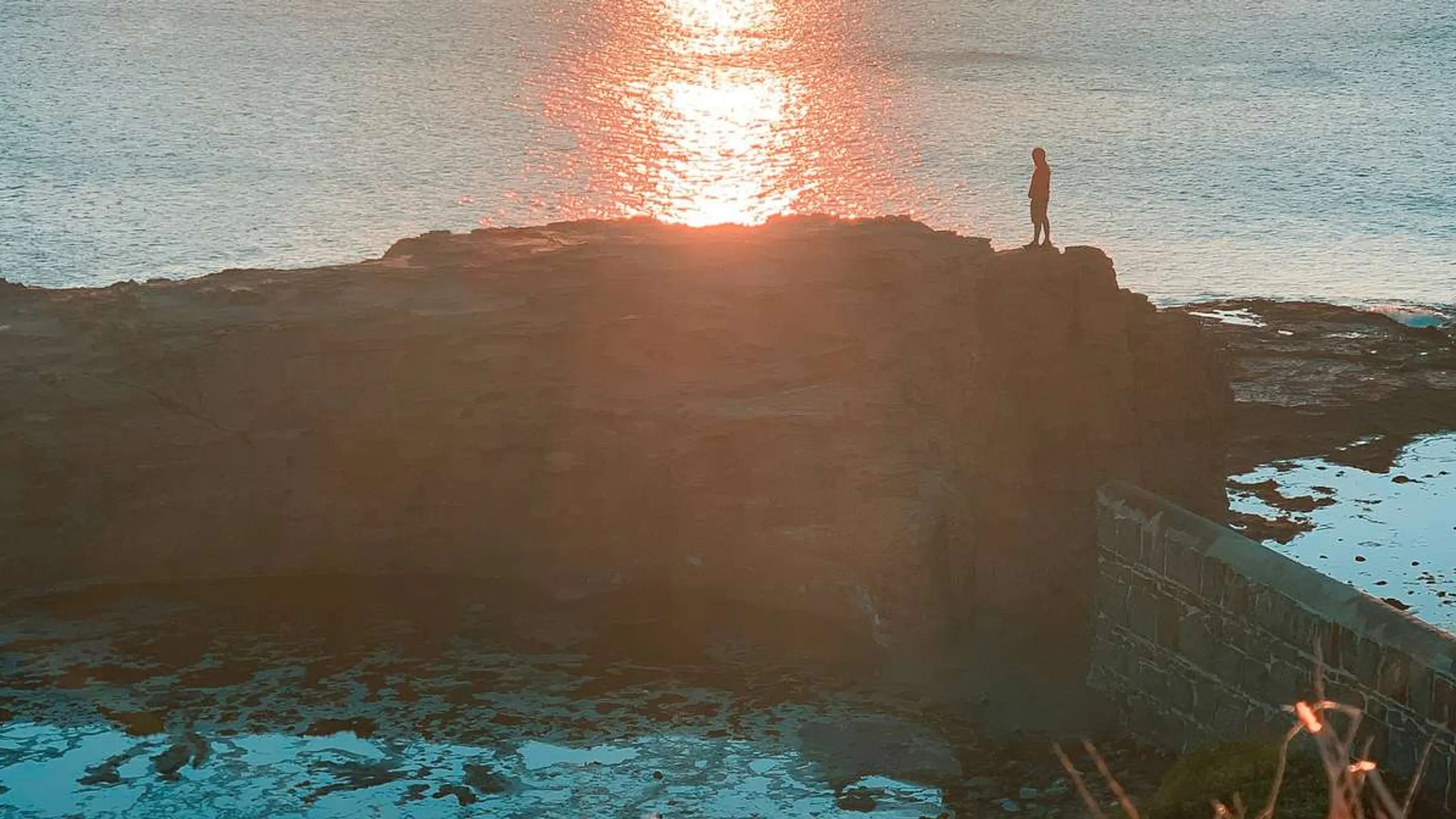 Wollongong Running Festival
