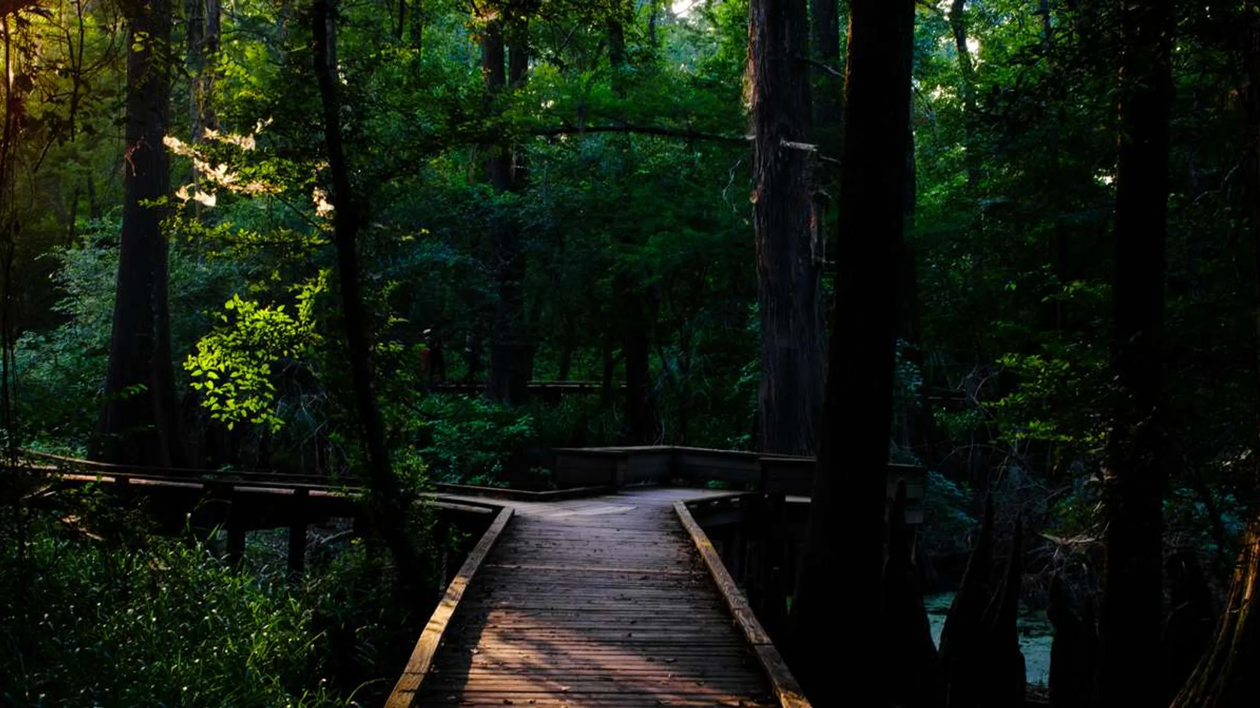 The Woodlands Marathon