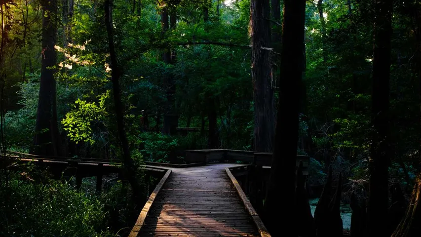 The Woodlands Marathon