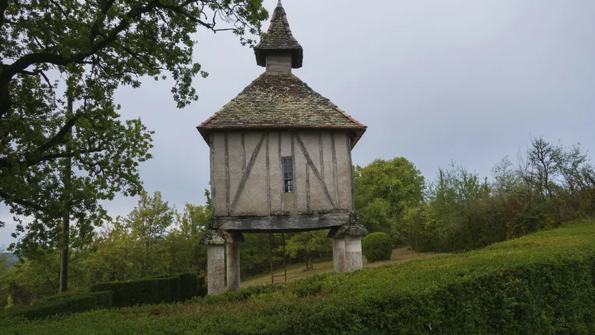 Trail du Loup Blanc