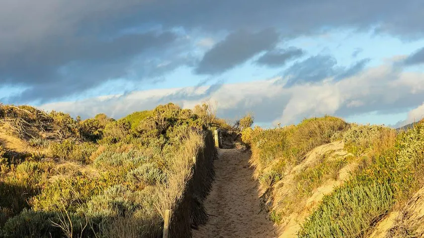 Run the Lighthouse