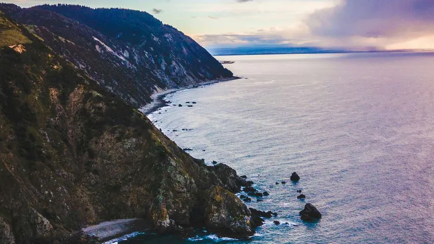 The Bay Trail Run