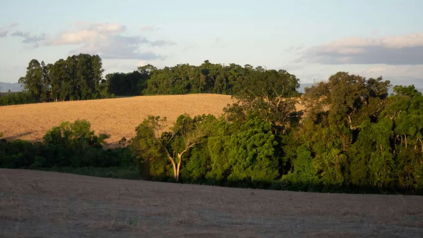 Grasslands Trail Run