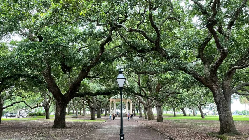 Publix Savannah Women's Half & 5 k