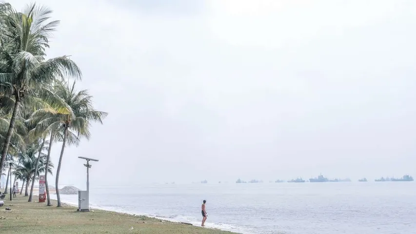 TriFactor Run & RunSwim