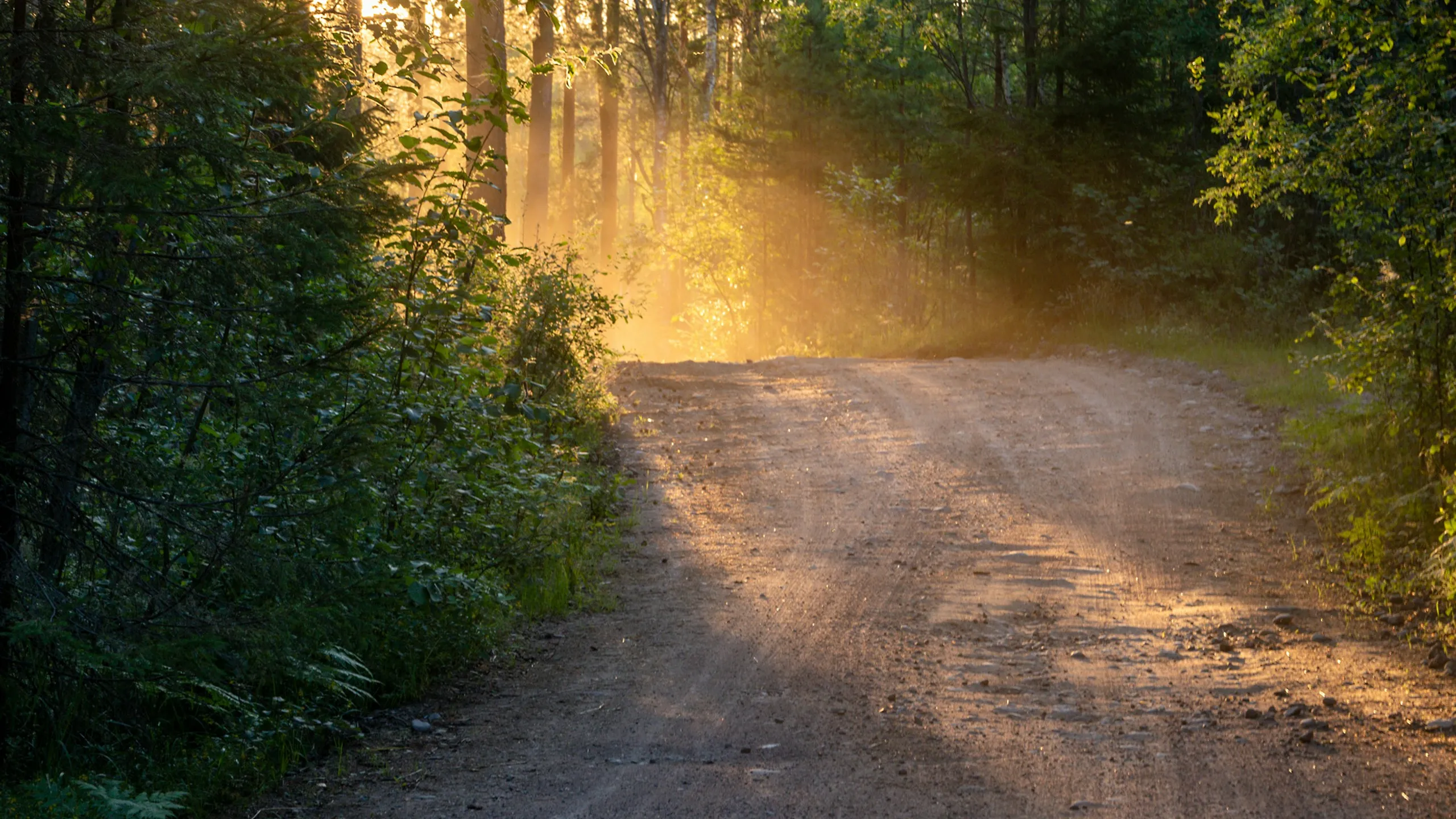 ÖTILLÖ Swimrun Austin
