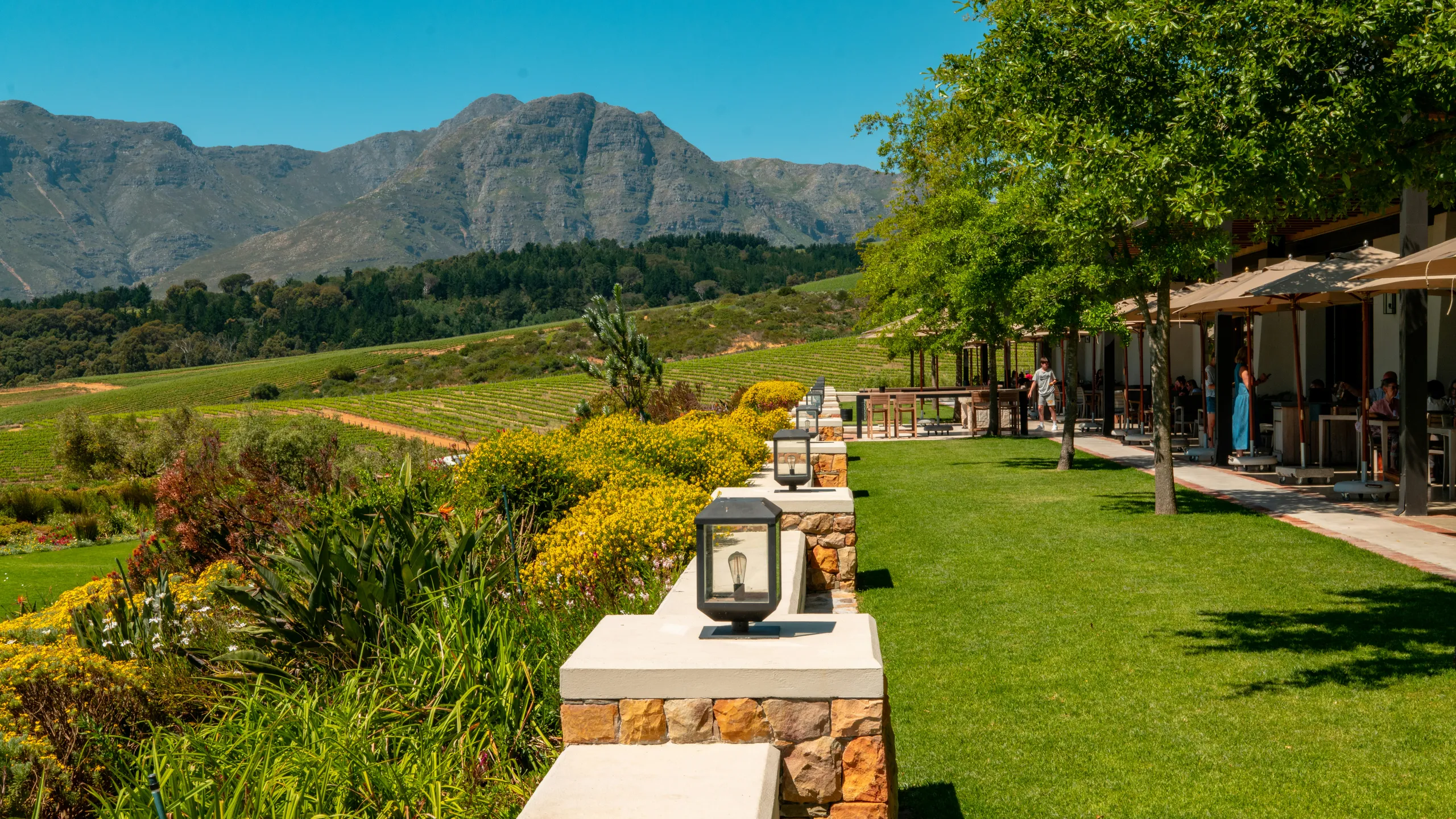 HOKA Half Runfest Stellenbosch