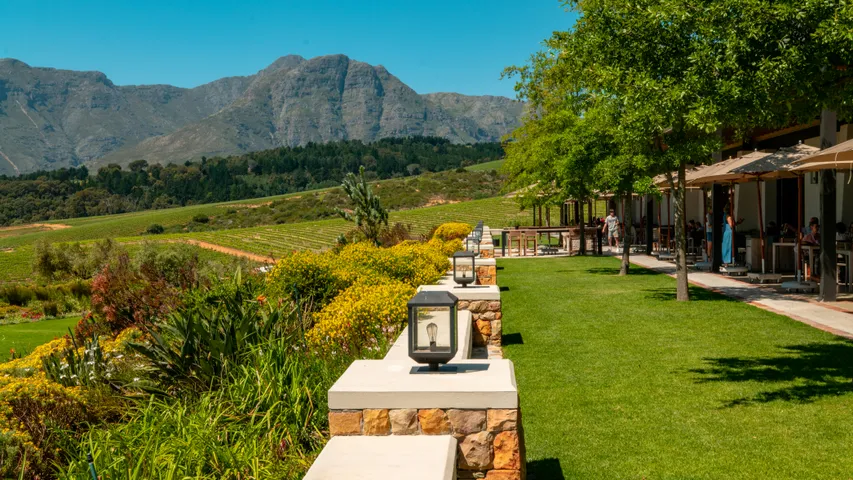 HOKA Half Runfest Stellenbosch