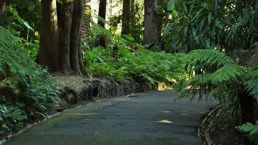 Warburton Trail Fest