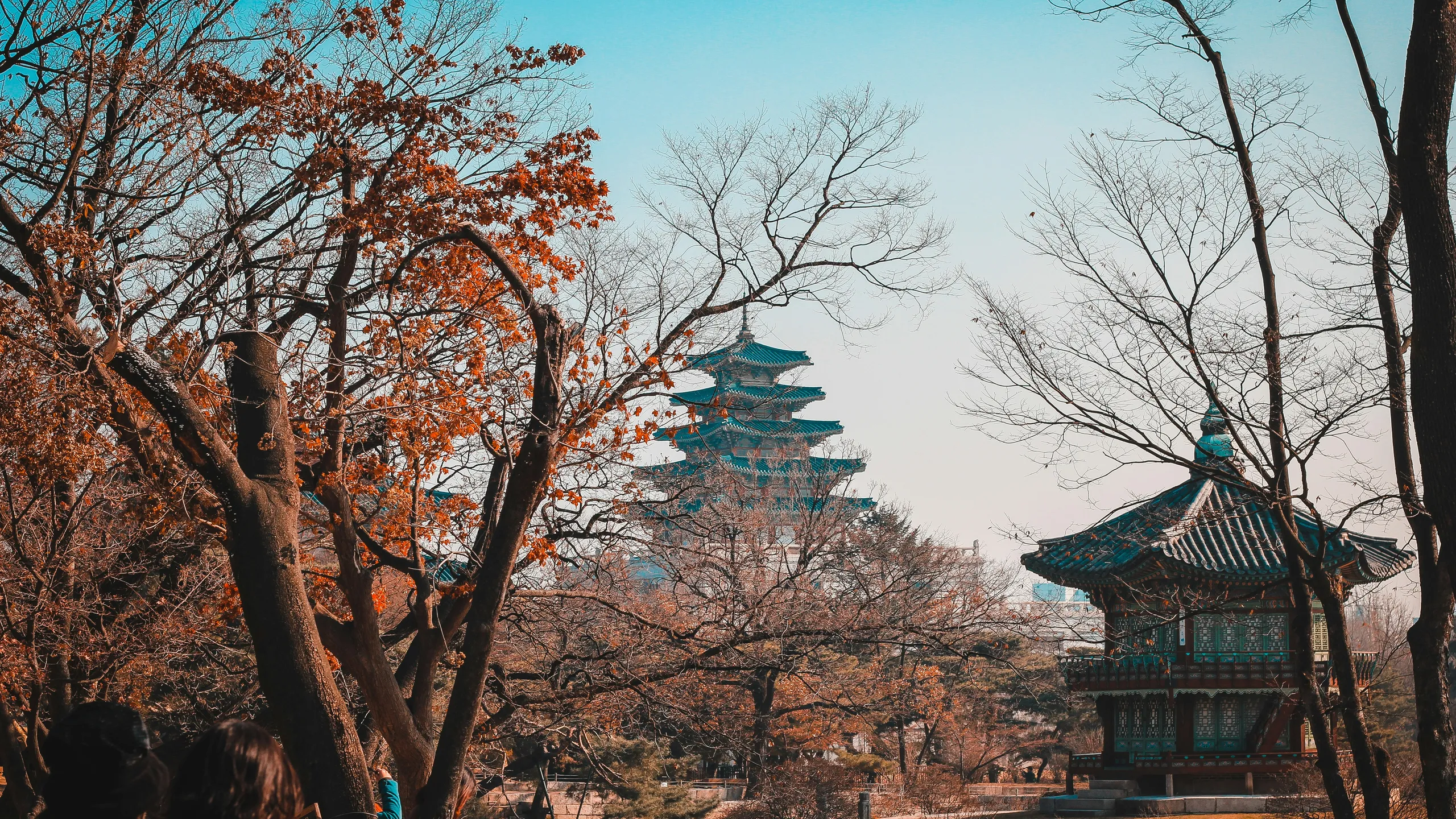 Seoul Race