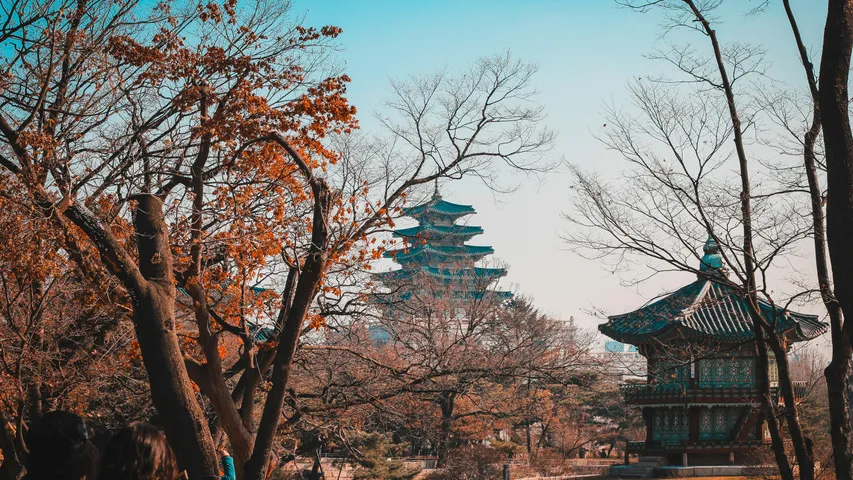 Seoul Race