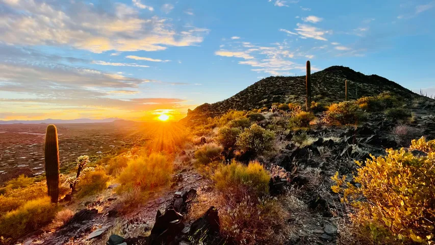Elephant Mountain Trail Runs 2026