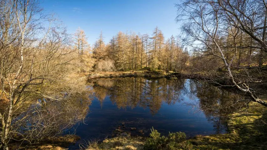 The Coniston 14