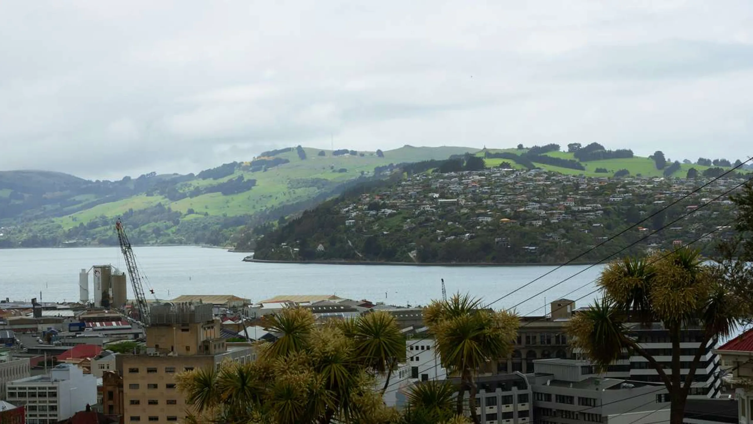 Emerson’s Dunedin Marathon