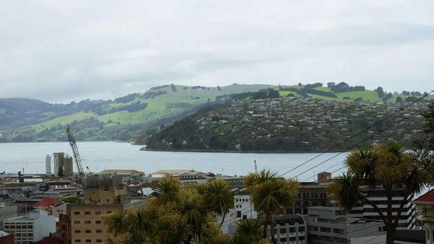 Emerson’s Dunedin Marathon
