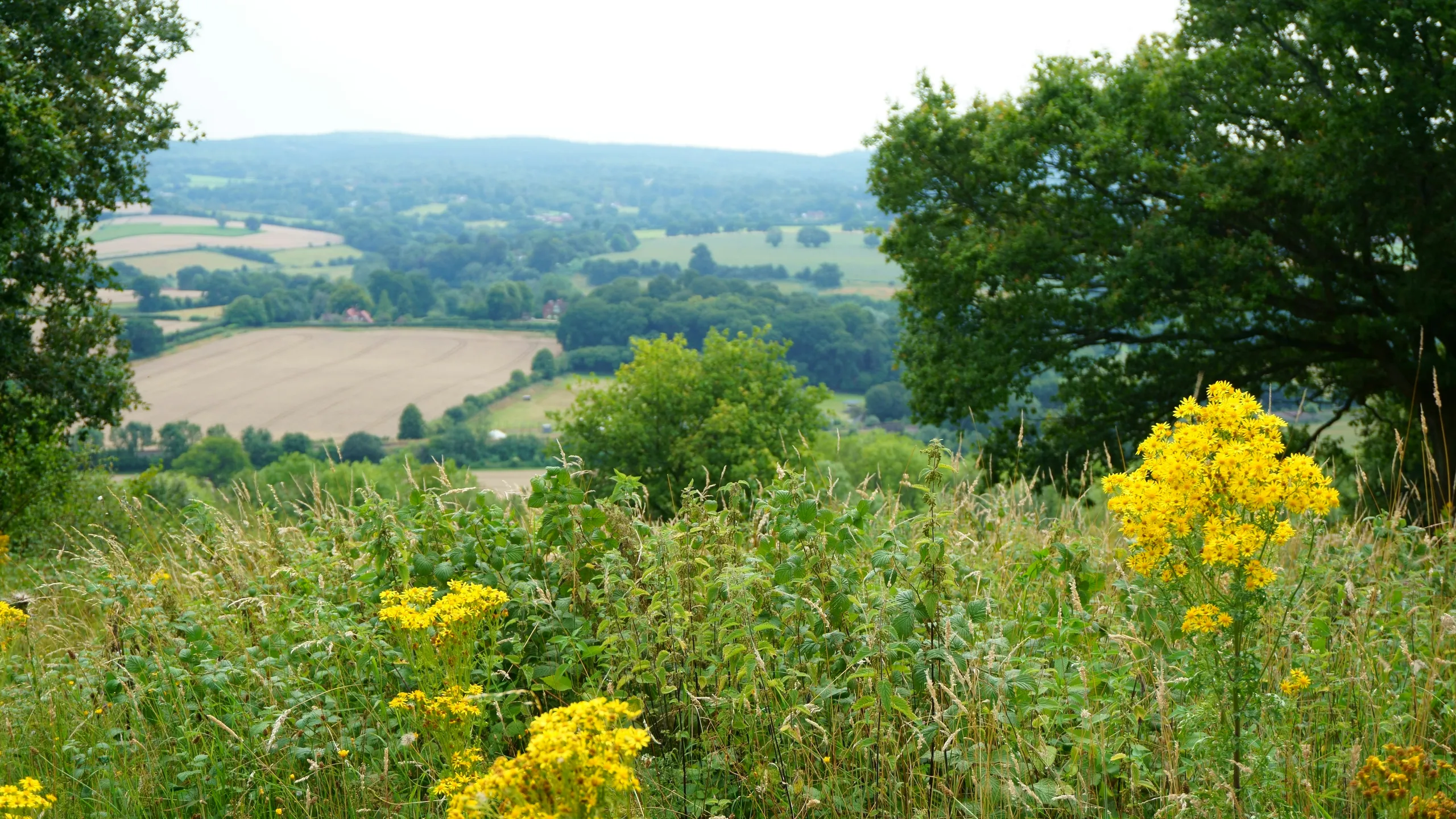 Riverside Marathon & Half Marathon