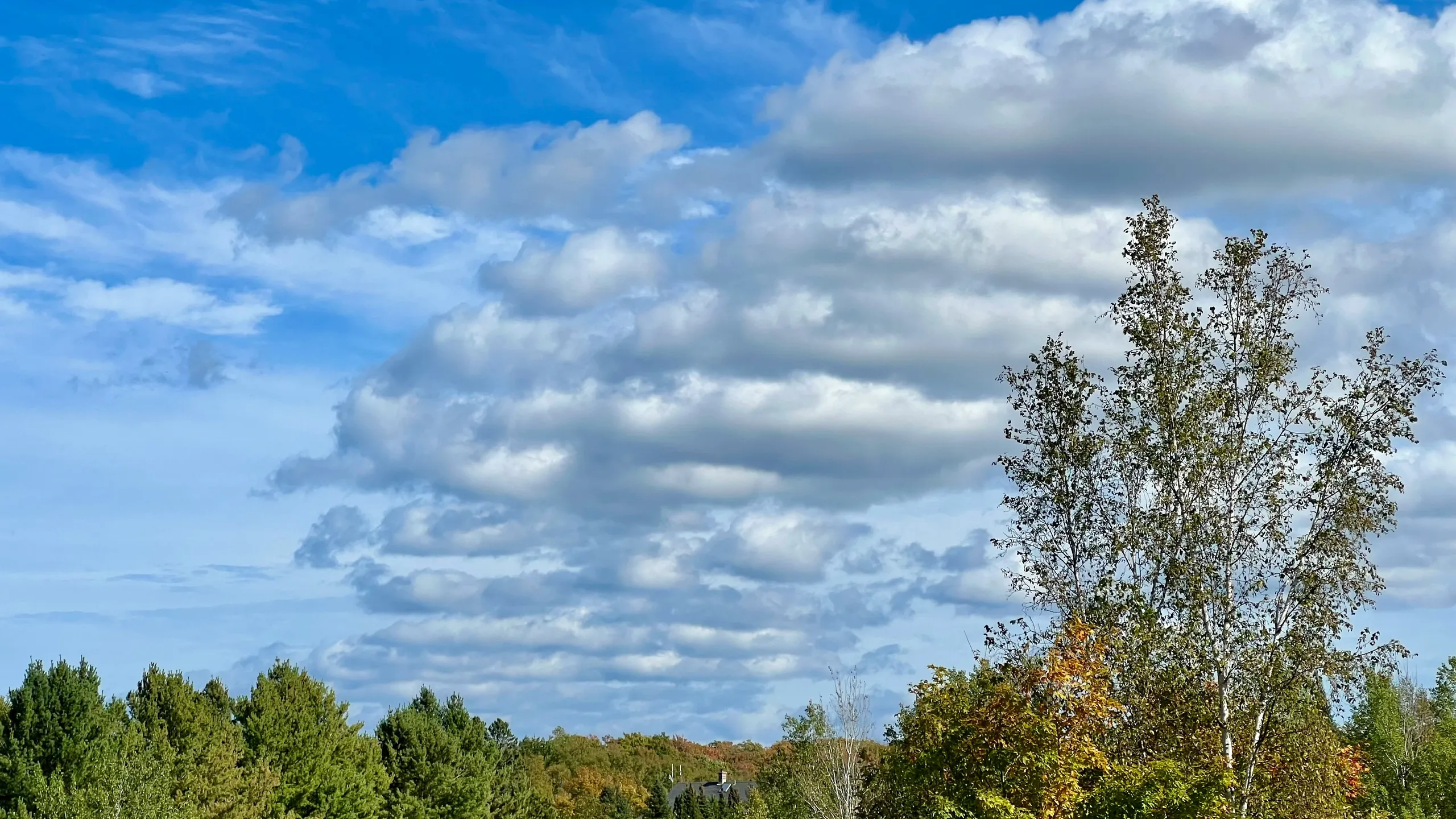 SpartanNash YMCA Byron Days 5K 2025