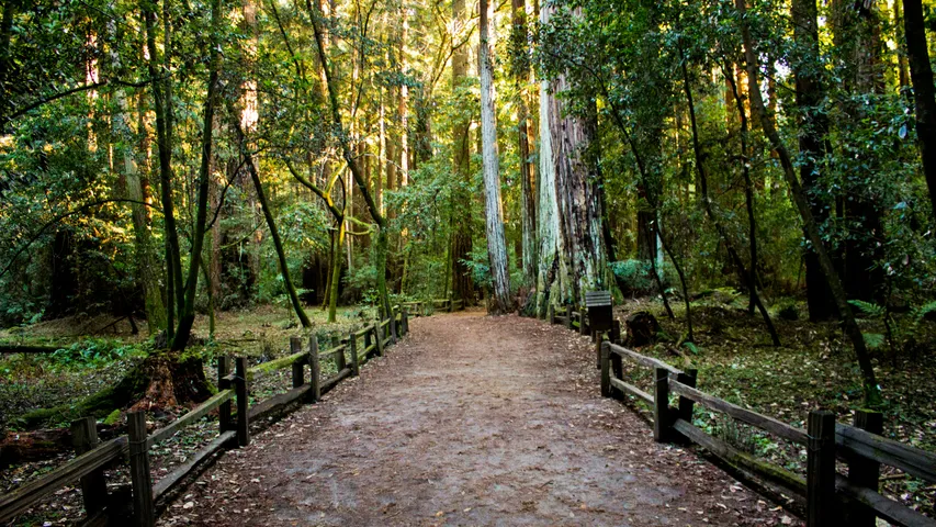 PHUNT 25K/50K Trail Race