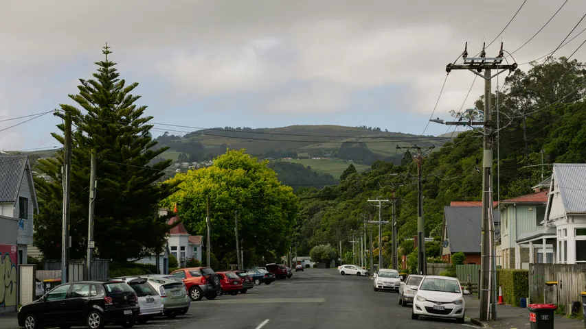 Run Auckland Series and Half Millwater Estuary 2025