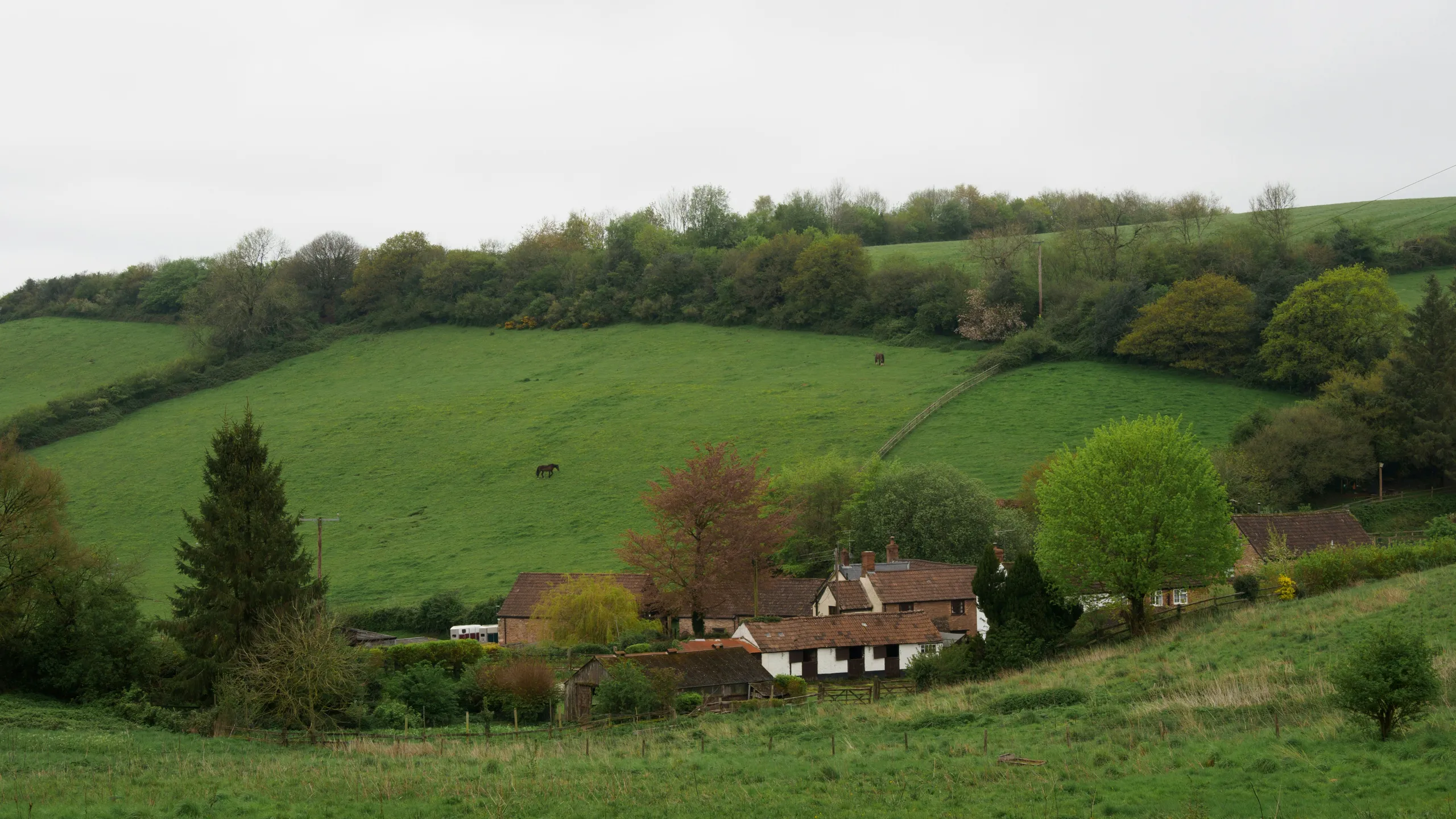 Oundle 20 Mile, 10k & 5k