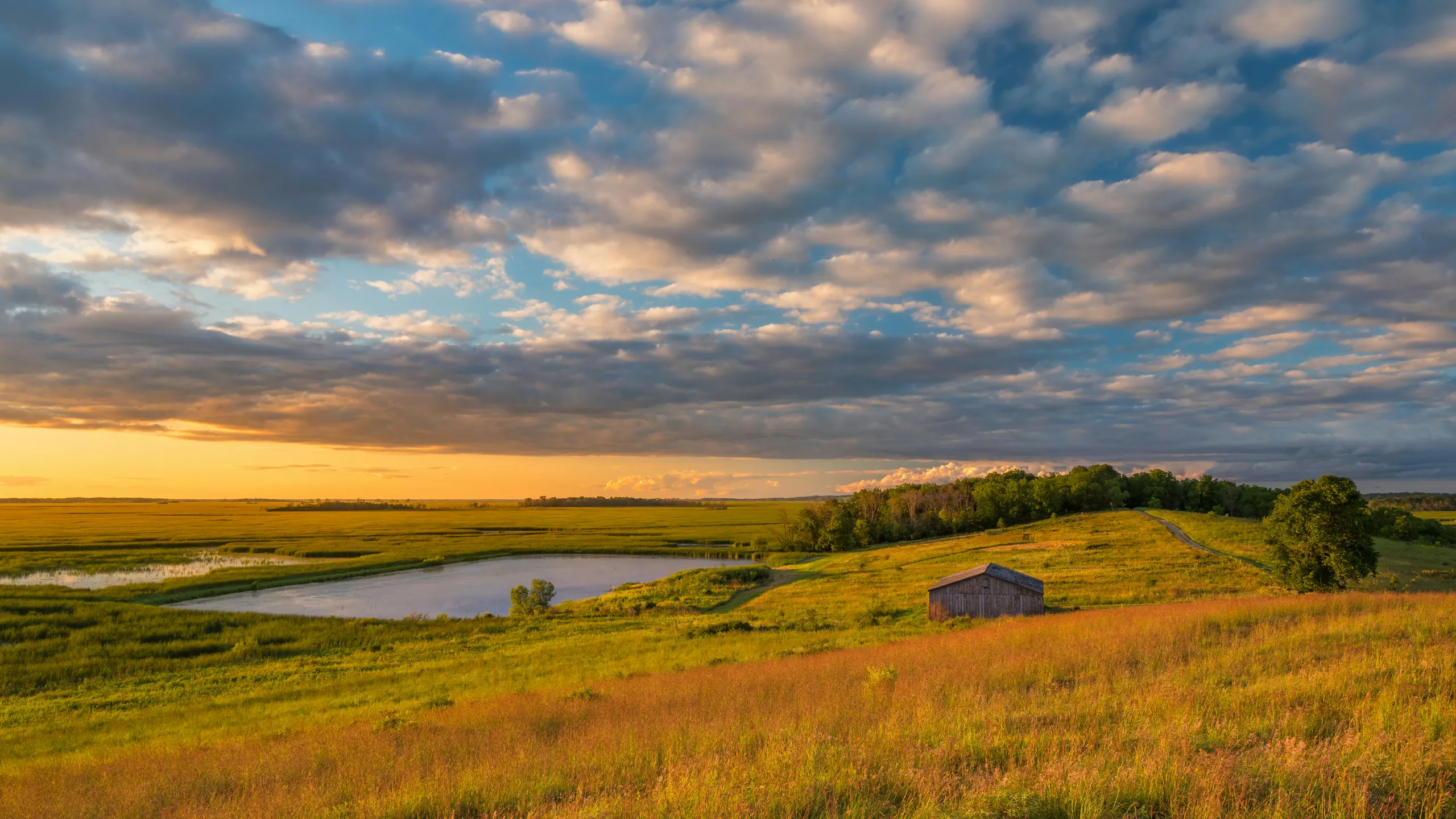 Zachariah's Acres Fall Run, Walk & Roll