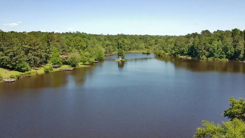 Wild Florida Trail Run