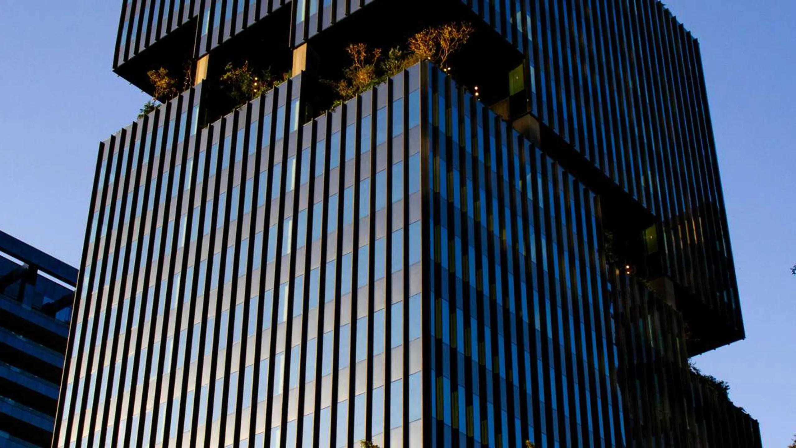 São Paulo International Marathon