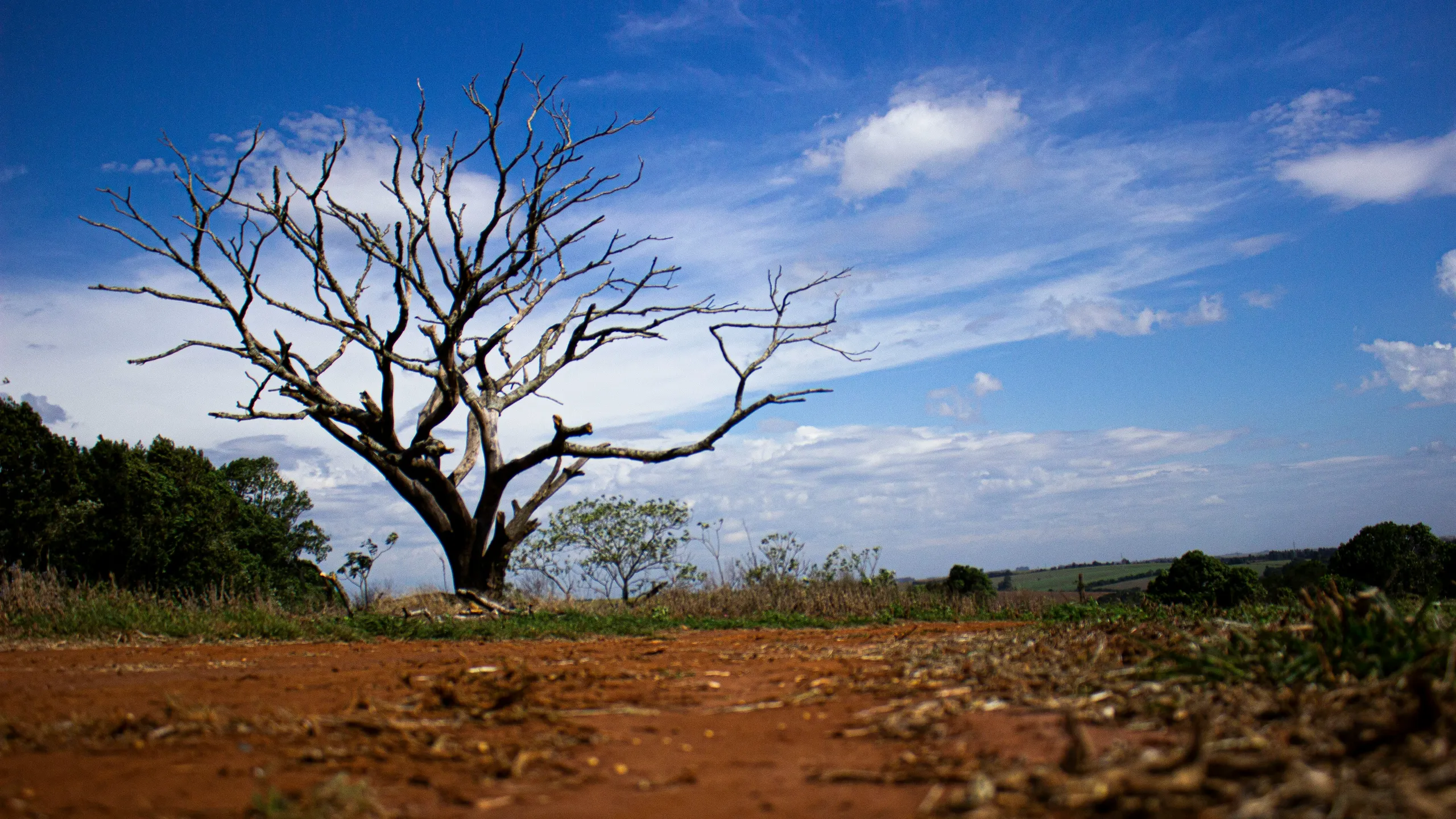 Corrida Rústica Lutimar Abreu Paes