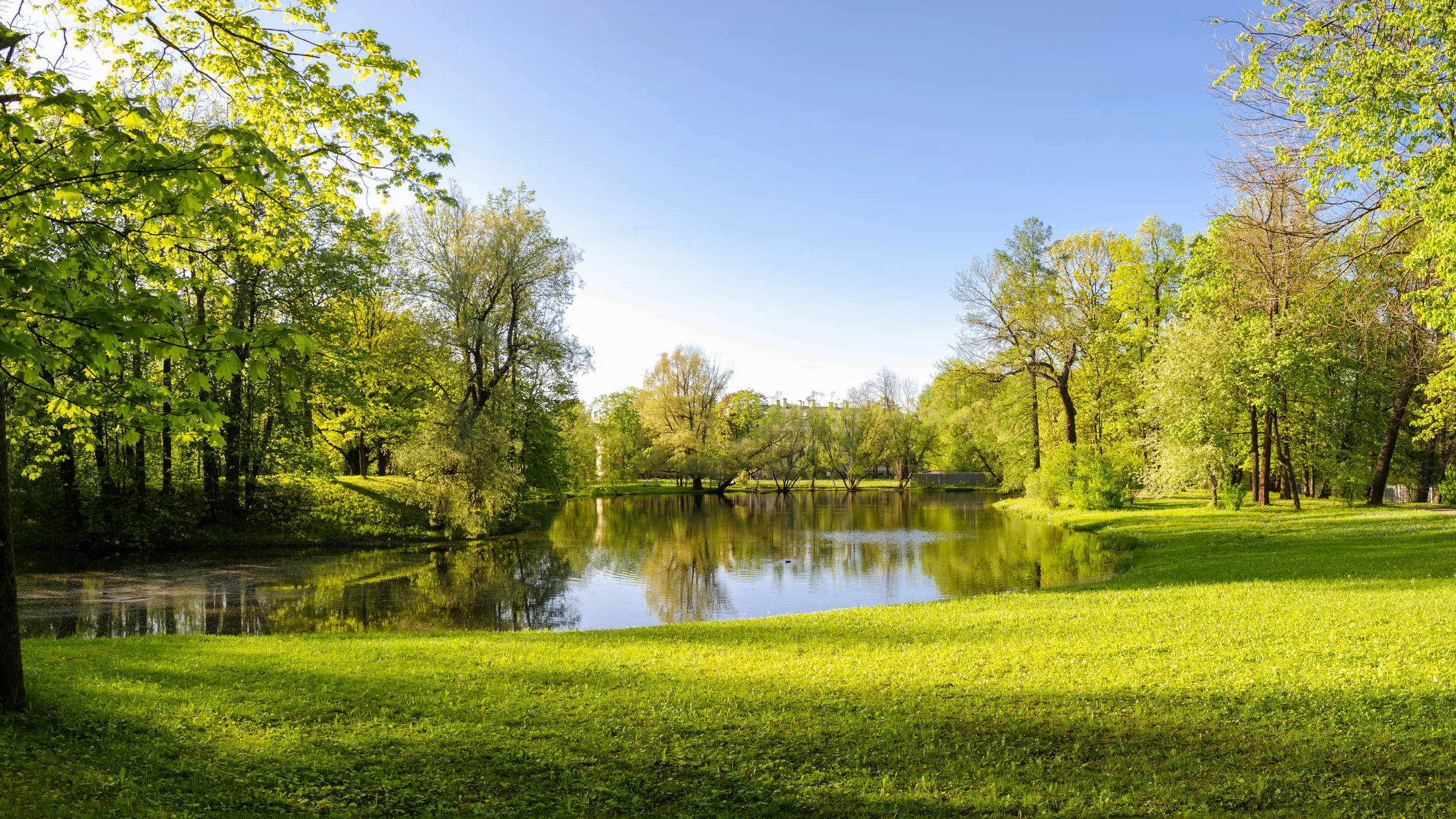 Johnstown, Alexandria & Granville Turkey Trot