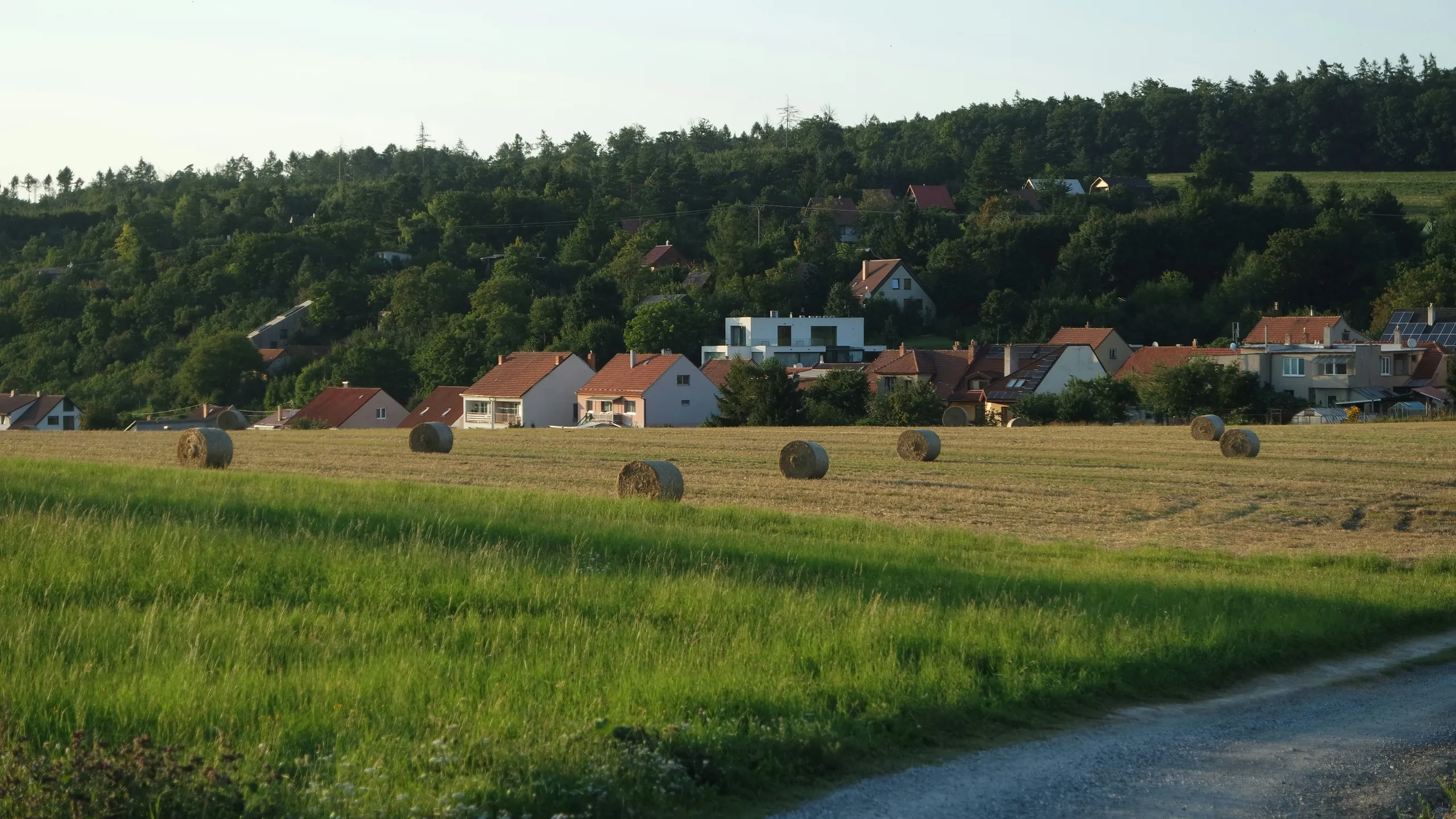 Sonnwendlauf