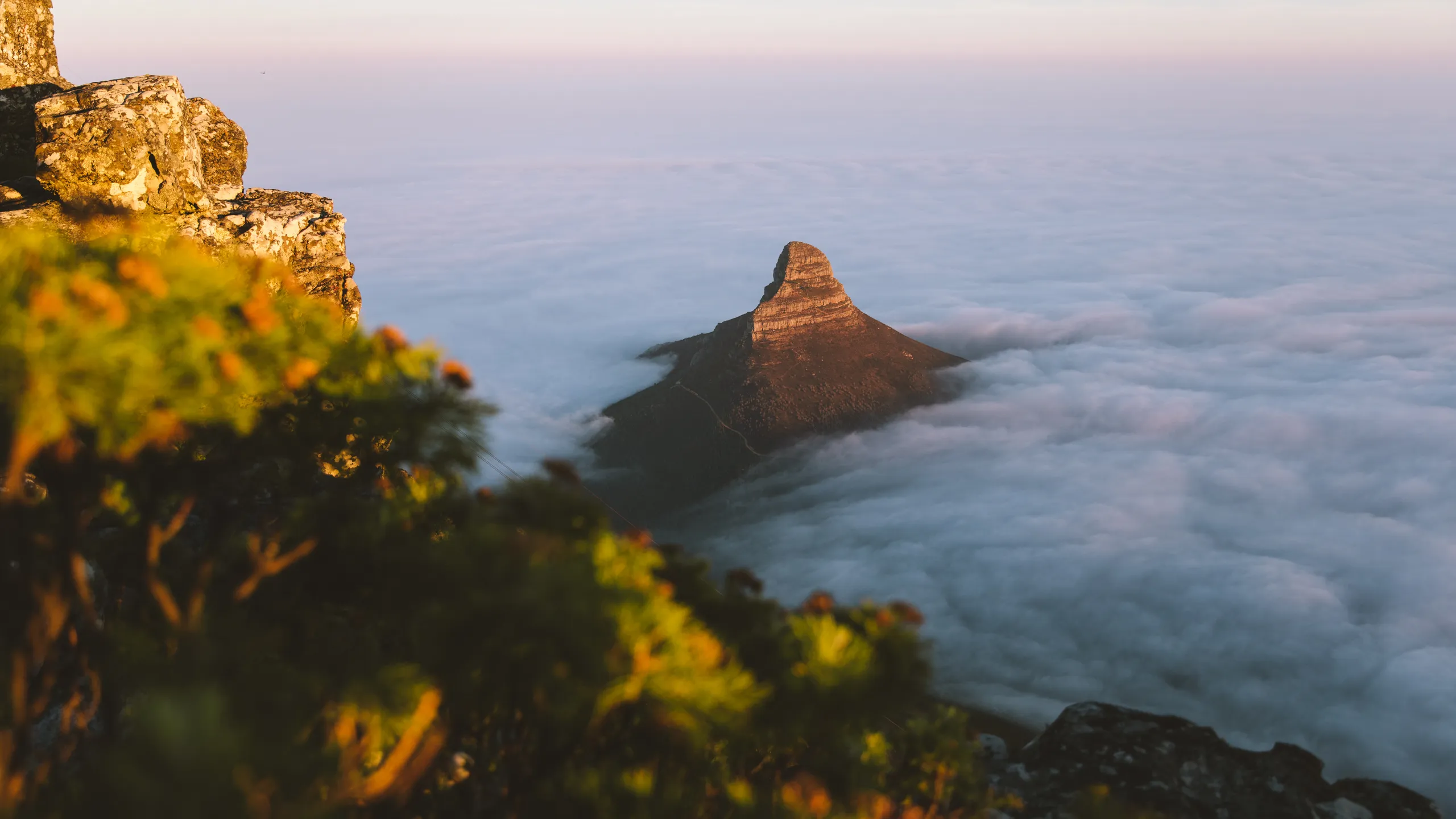 Sanlam Cape Town Marathon 2025