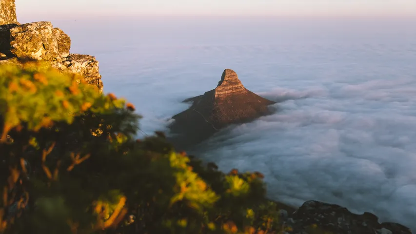 Sanlam Cape Town Marathon 2025
