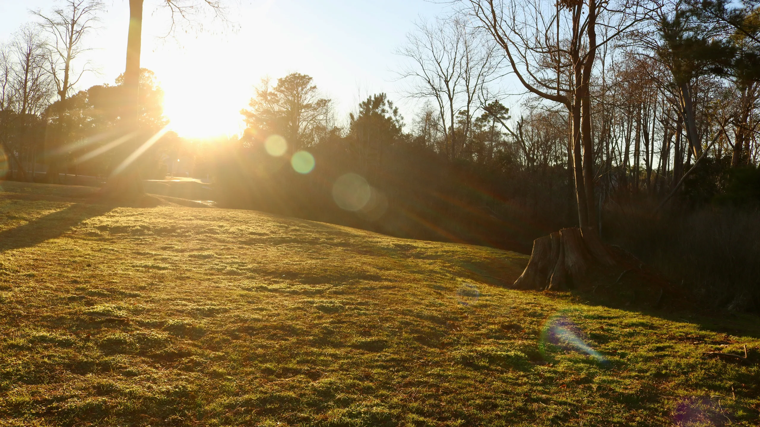 Wilmington Historic Half Marathon, 10K & 5K